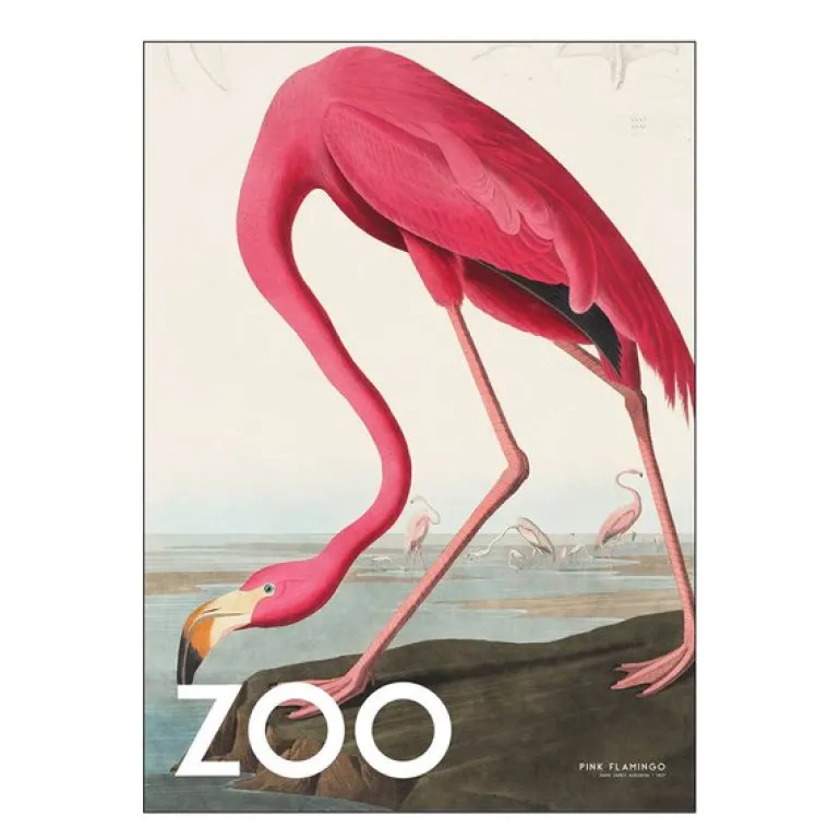 A.P. Atelier poster 50x70 cm the zoo collection pink flamingo edt. 002