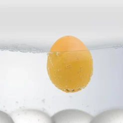 BeepEgg Barnyard eggtimer moo