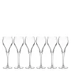 Bubbles champagneglass 16 cl 6 stk klar