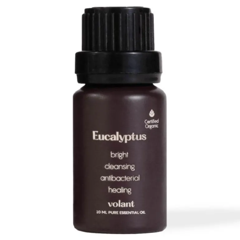 Eterisk olje øko Eucalyptus