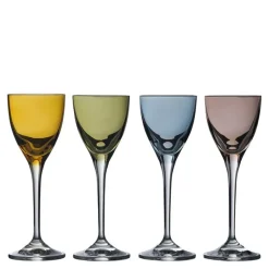Joyful snapsglass 6 cl 4 stk klar