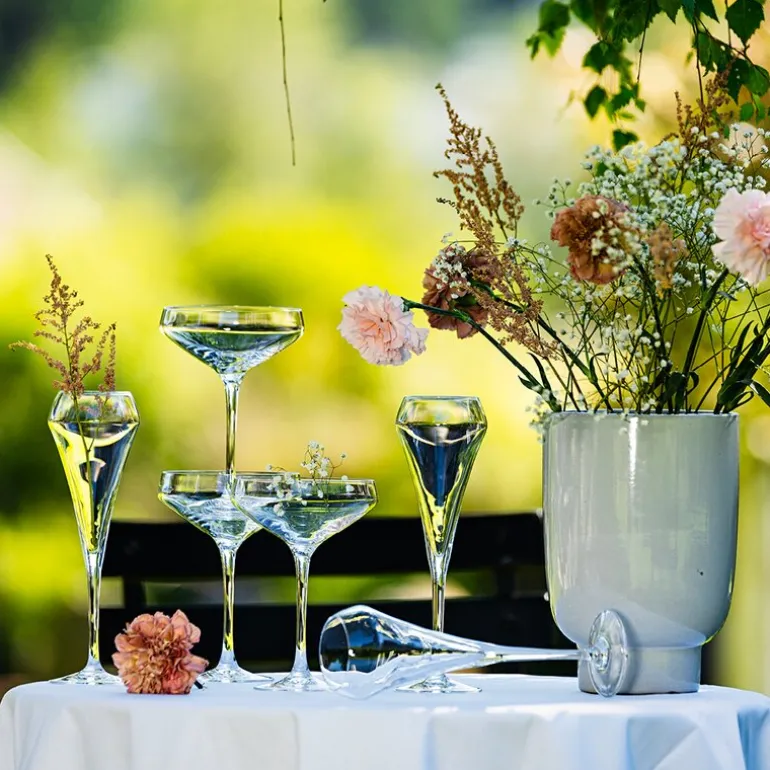 Open Up champagneglass 30 cl 6 stk
