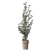 Pinea grantre 115 cm med LED-lys grønn