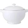 Platinum terrin 3,5L