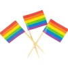 Pride flagg med trepinne 12 stk