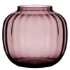 Primula vase 12,5 plomme