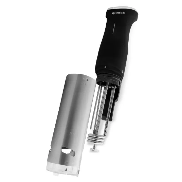 Sous vide precision circulator