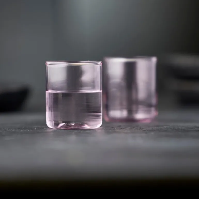 Torino shotglass 6 cl 2 stk pink