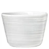 Whitewood eggeglass